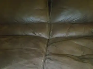 Chaturbate Adult Webcam of bigdicktrannynicole