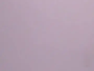 Chaturbate Adult Video Chat of maazikeenx
