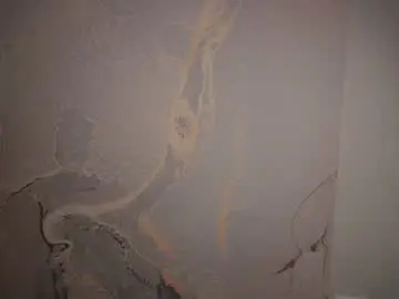 Chaturbate Sex Cam of penylust