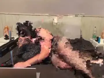 Chaturbate Adult Webcam of tammiesissy