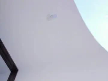Chaturbate Sex Chat of apoloklein_