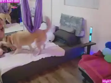 Chaturbate Live Sex Cam of mymaryangel