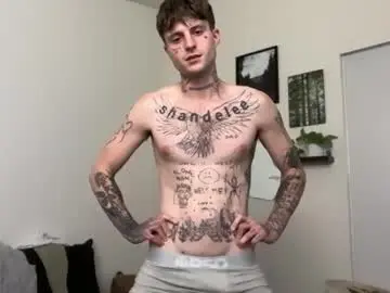 Chaturbate Live Porn of prettyboyszn