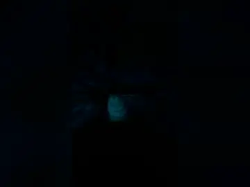 Chaturbate Free Porn Cam of tudie