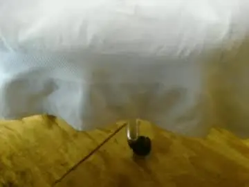 Chaturbate Sex Chat of 14xxxromeo