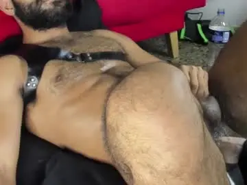 Chaturbate Private Sex Chat of sweatyhairypig1