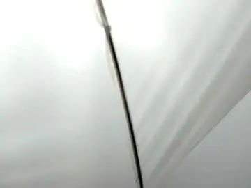 Chaturbate Live Porn of leissybrooks