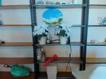 Chaturbate Best live sex cam show of lil_tiffani