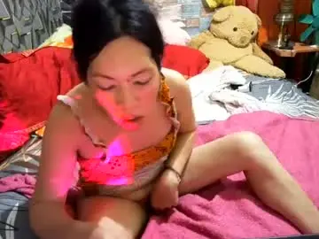 Chaturbate Adult Webcams of trannybigcockasianxxx