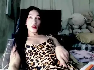Chaturbate Best Webcam of hotasianara