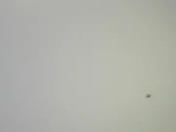 Chaturbate Nude Webcam of marcelo_costa_