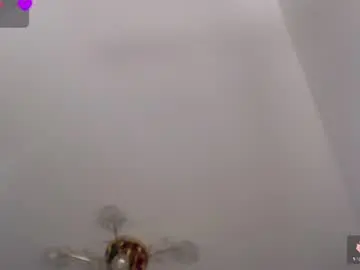 Chaturbate Live Sex of lilith_mazikeen69
