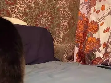 Chaturbate Live Sex of caseycasual24