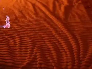 Chaturbate Adult Webcam of boootyfrytti
