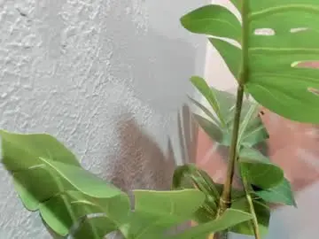 Chaturbate Adult Webcam of scarleet_dh