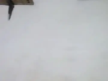 Chaturbate Live Sex of retlam37