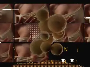 Chaturbate Adult Webcams of taanni_bc