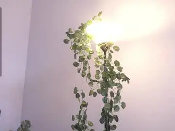 Chaturbate Watch Live Sex Cams of forestproject