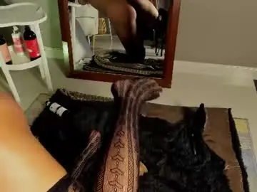 Chaturbate Adult Video Chat of emilybta