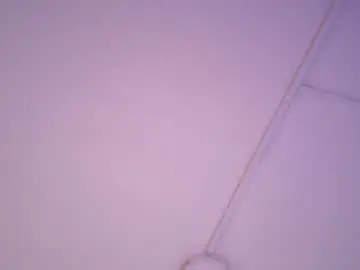 Chaturbate Live Sex Cam of tera_tyler