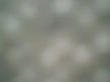Chaturbate Watch Live Sex Cams of kennerfox77