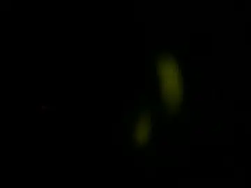 Chaturbate Sex Cam of kovenking