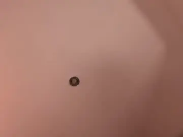 Chaturbate Live Sex Cam of emily_____