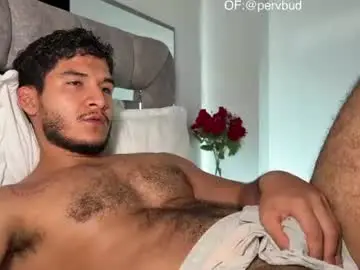 Chaturbate Free Live Porn of _reiner