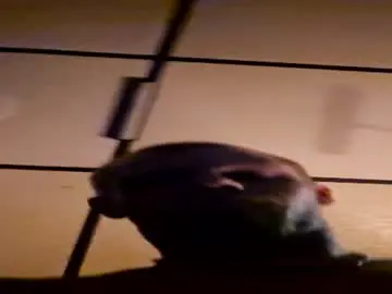 Chaturbate Live Sex Cam of jackacaster