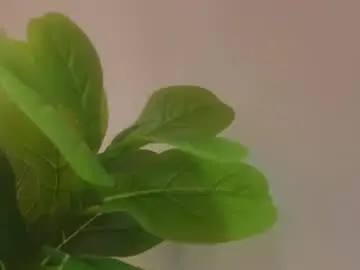 Chaturbate Sex Cam of mulata_ch