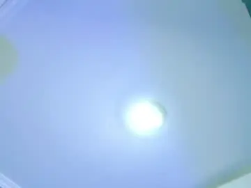 Chaturbate Live Porn of ale_love_