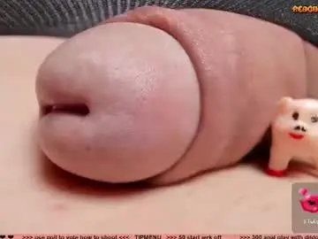 Chaturbate Free Porn Cam of kpetra