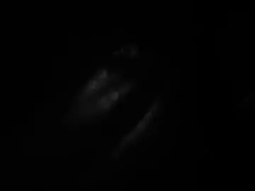 Chaturbate Free Live Porn of pointman72