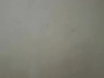 Chaturbate Adult Webcam of hotcindy08