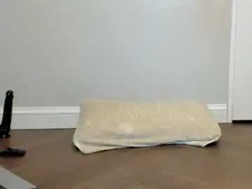 Chaturbate Adult Webcam of bigtroublelittlechina