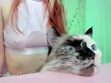 Chaturbate Adult Webcam of pocketrocket_