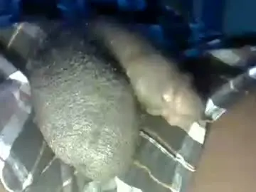 Chaturbate Free Porn Cam of dadyschlong