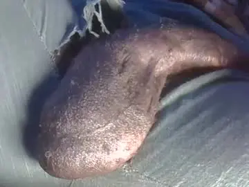Chaturbate Sex Cam of dadyschlong