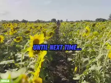 Chaturbate Live Sex of sunflower0907