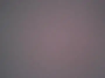 Chaturbate Adult Webcam of sub199958
