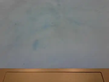 Chaturbate Live Sex of bonedtobewild