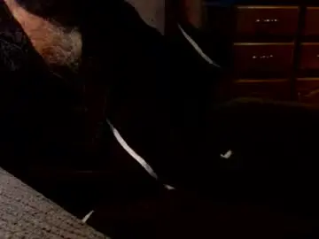 Chaturbate Adult Webcam of bigdickdaddy567130413