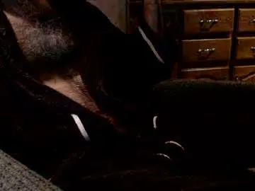 Chaturbate Free Live Porn of bigdickdaddy567130413