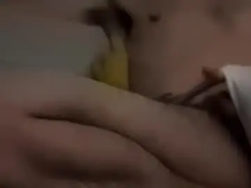Chaturbate Sex Cam of frenchymontreal
