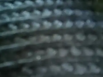 Chaturbate Live Sex Cam of fiveforwilly1