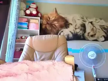 Chaturbate Live Porn of goddess_isabella11