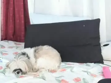 Chaturbate Adult Webcam of annavalente_