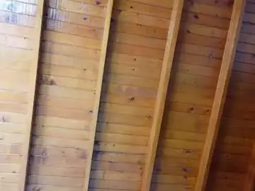 Chaturbate Adult Webcam of shule71