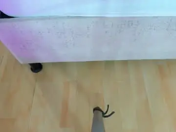 Chaturbate Best Webcam of alana_vera