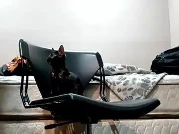 Chaturbate Sex Cam of greeneyedcutie